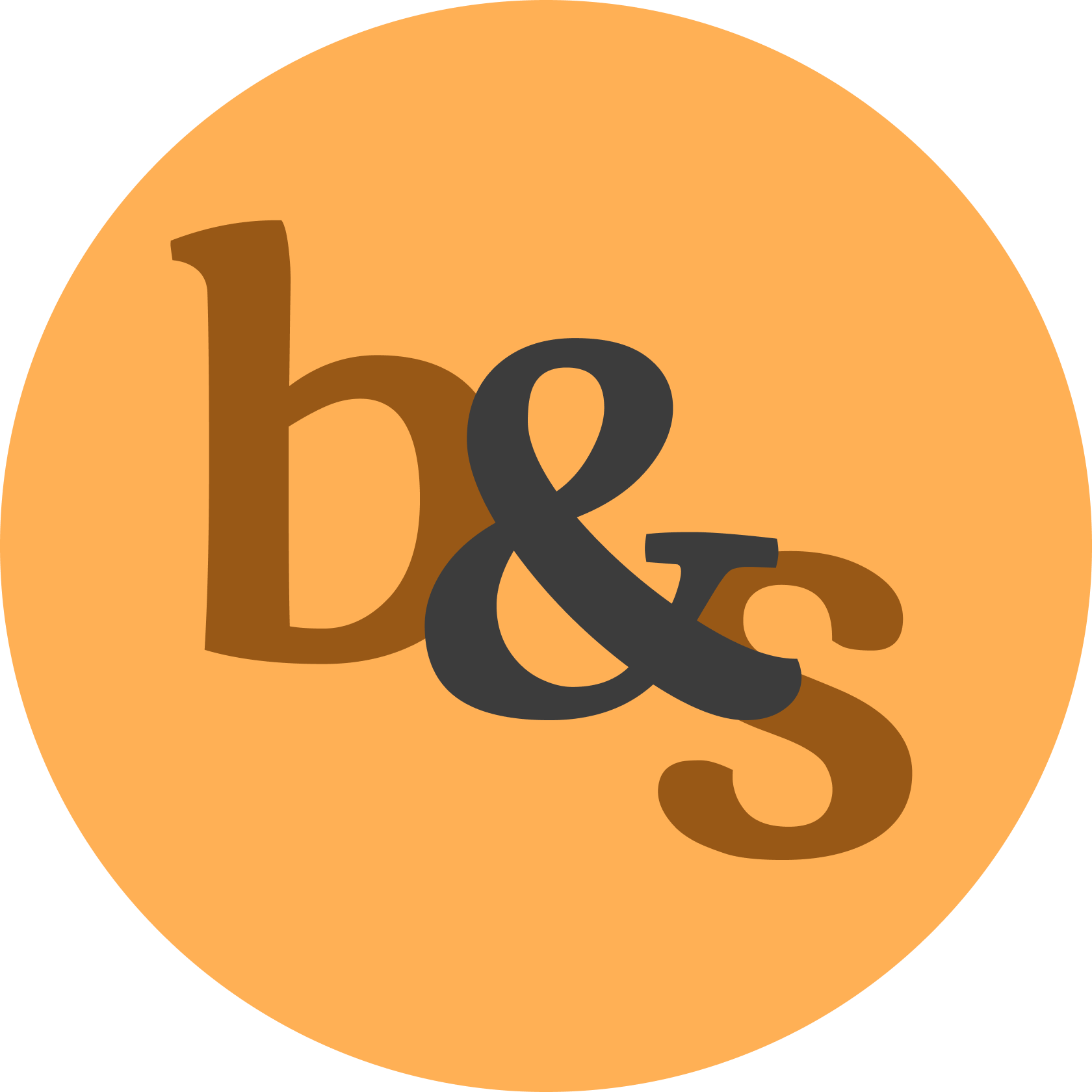 B&S Logo